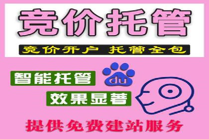 某零售业SEM策略调整，实现销售业绩大增
